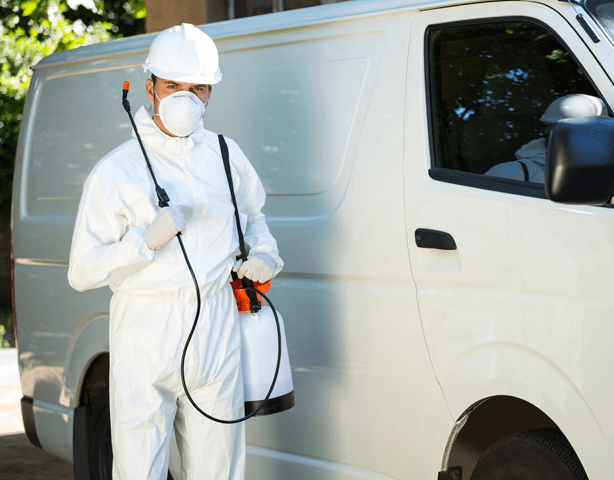 Dedetizadora em Águas da Cascata