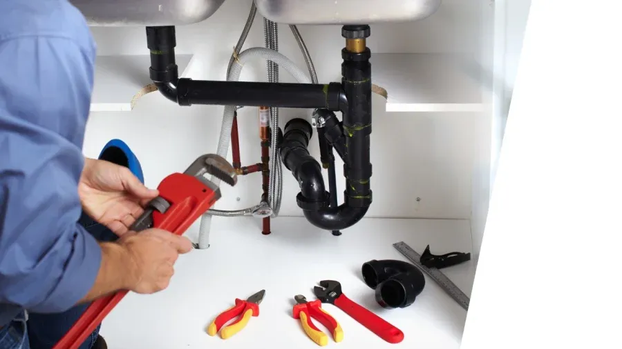 Dedetizadora no Jardim Alexandra